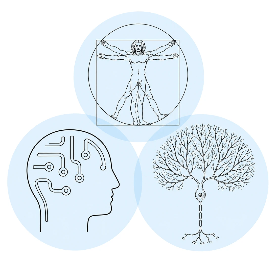 Three overlapping circles: the Vitruvian man, a head with circuit traces, and a Purkinje neuron
