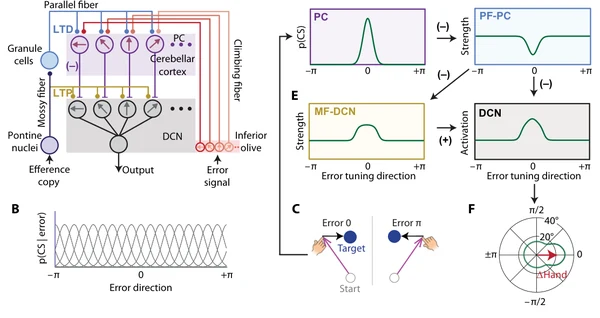 Figure 1 from this paper