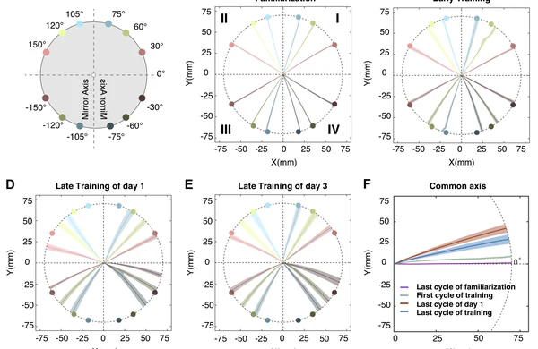 Figure 1 from this paper