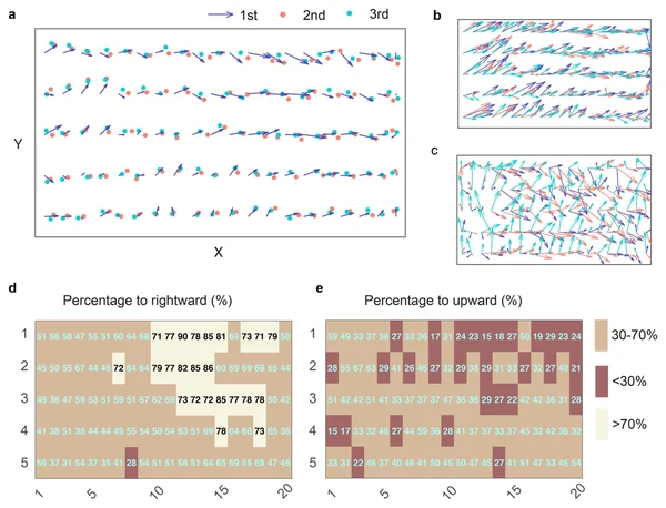 Figure 3 from this paper