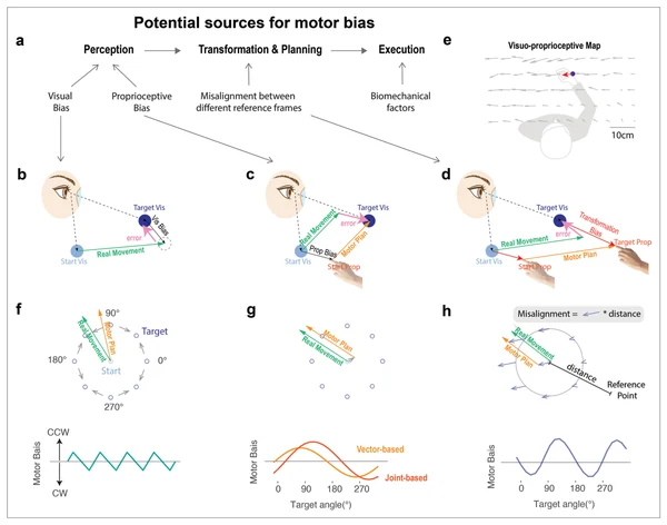 Figure 1 from this paper